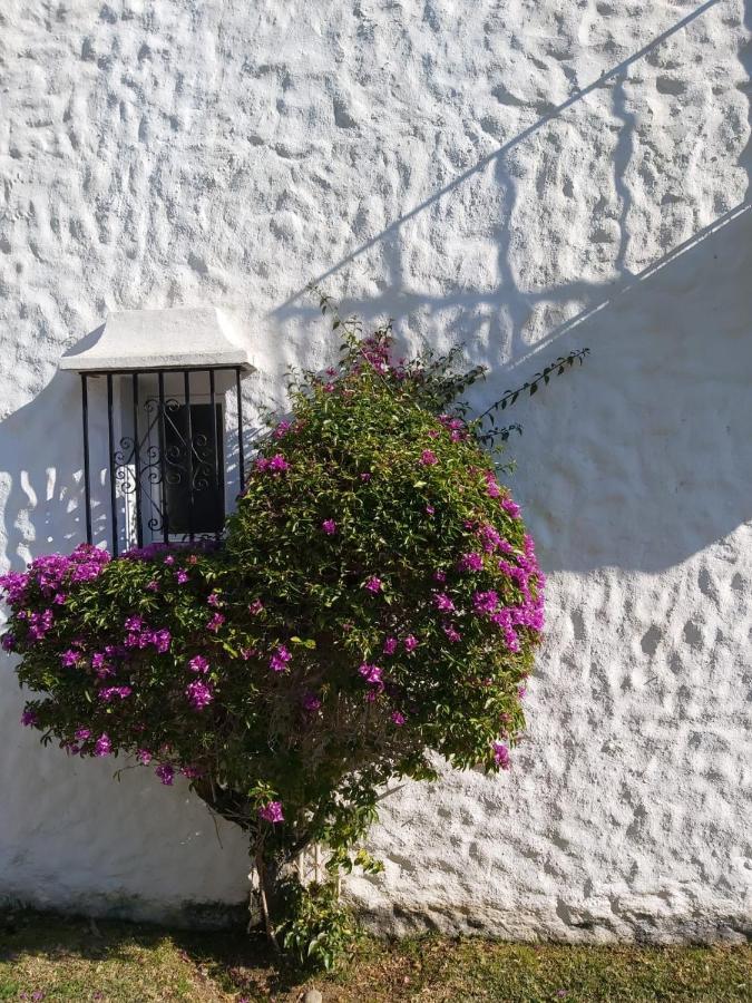 Benamara Gardens, Apartment With Pool, 100M From Beach Near Marbella & אסטפונה מראה חיצוני תמונה